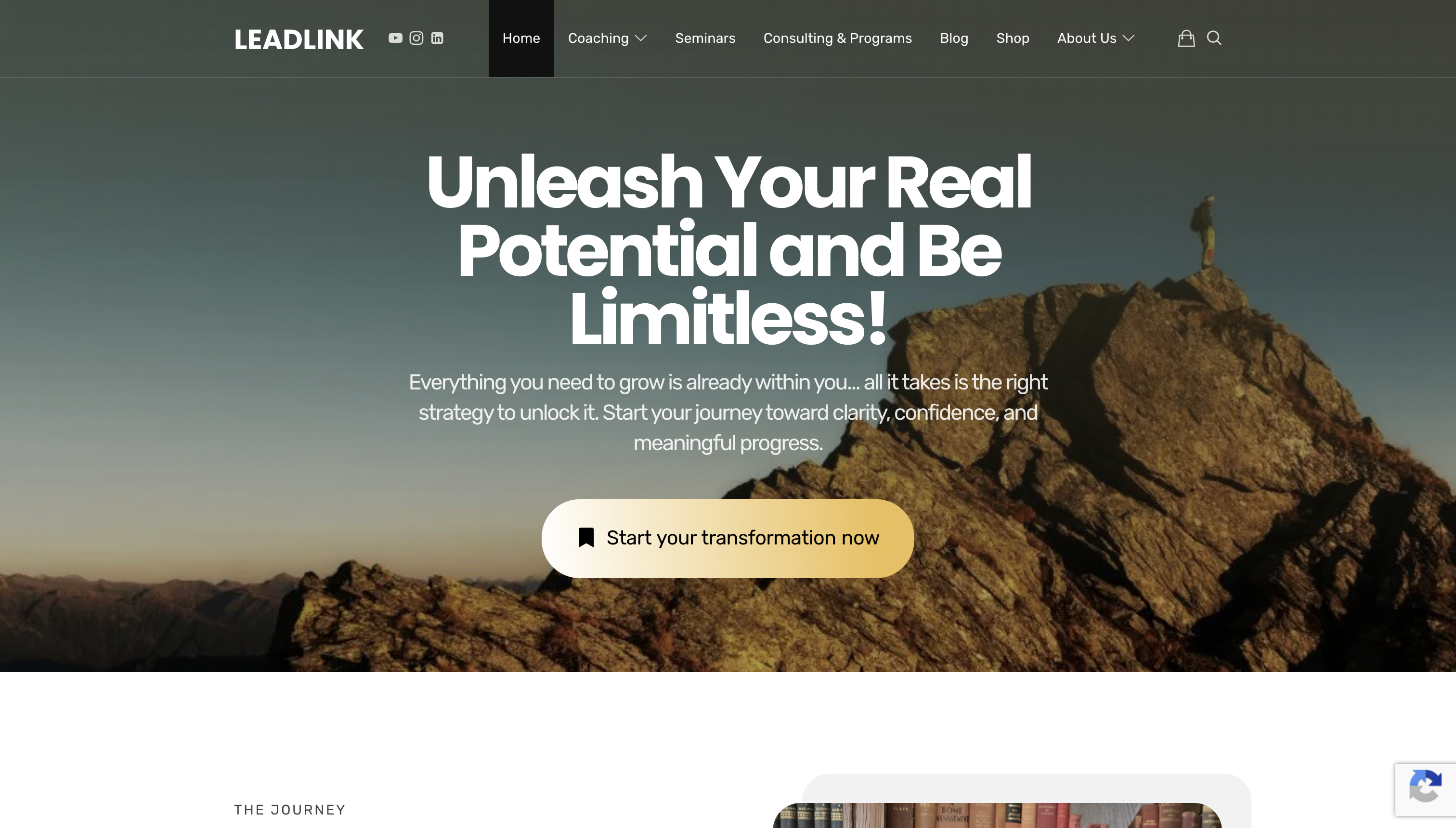 Leadlink mockup